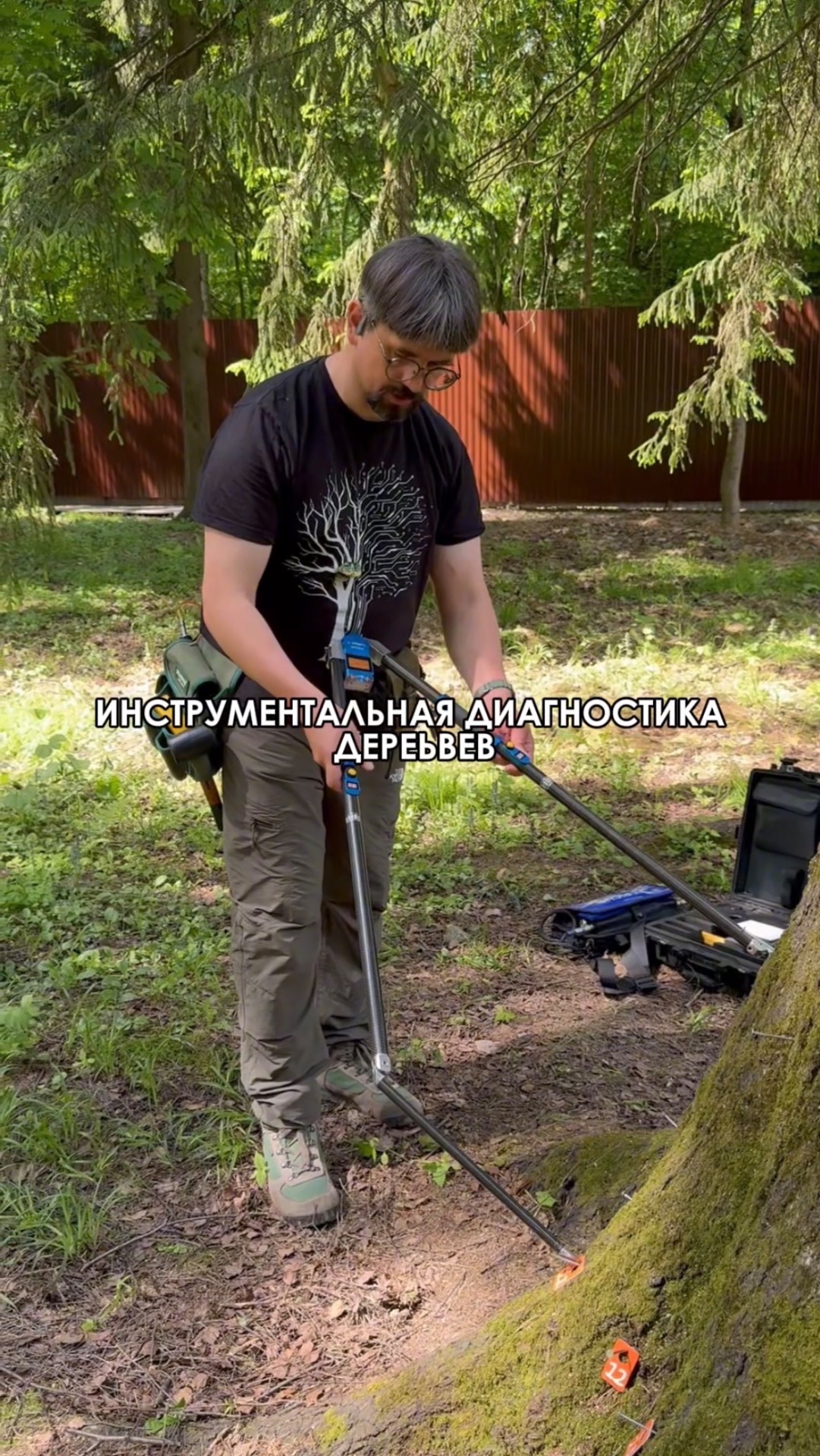 ИНСТРУМЕНТАЛЬНАЯ ДИАГНОСТИКА ДЕРЕВЬЕВ