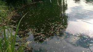 1000005235.mp4