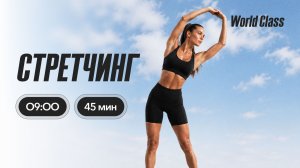 СТРЕТЧИНГ с Анастасией Филипьевой | 22 июня 2026 | Онлайн-тренировки World Class