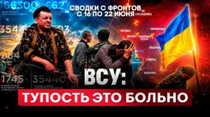ВСУ: тупость это больно