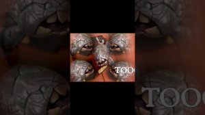 Diablo IV: Lord of Hatred | MeFISHto Infomercial