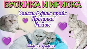 😻Бусинка и Ириска😻/Прогулка/Зашли в фикс прайс/Делайте добрые дела💜