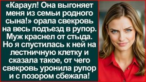 Истории из жизни|Свекровь устроила|Аудио рассказы|Аудиокниги слушать онлайн|Жизненные истории