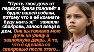 Истории из жизни/Аудиорассказы/Пусть твоя дочь идет жить в будку!-заявила Свекровь/Жизненные истории