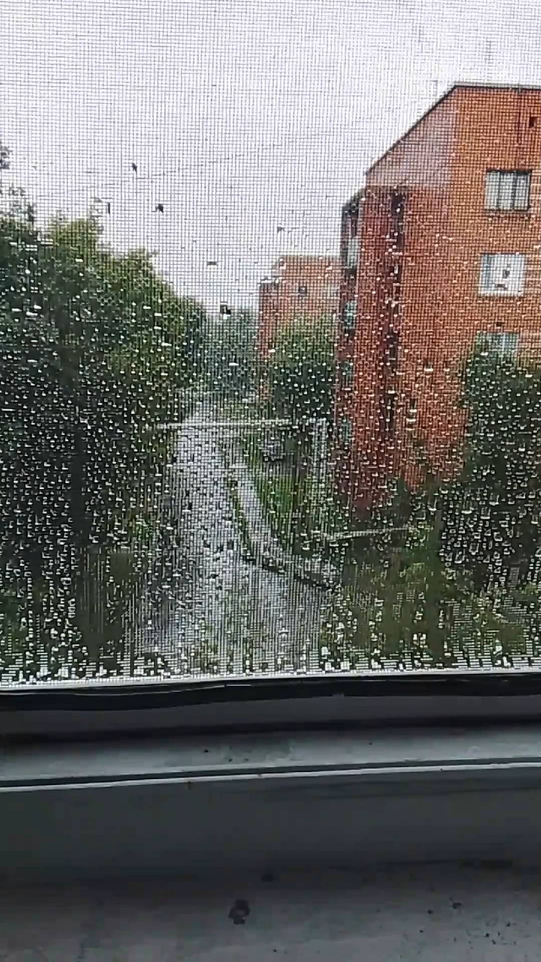 дождь смотреть онлайн