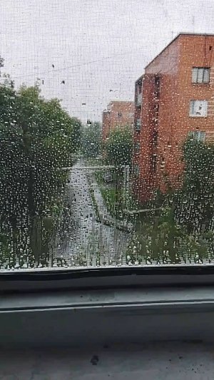 дождь