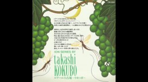 Takashi Kokubo (小久保隆) - Loire's Castles ～ Medieval Dreams ～ (ロアールの古城～中世の夢～) (1993) [Full Album]