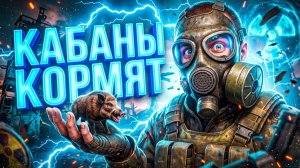 💰 ПРОВЕРКА: МИЛЛИОН НА КАБАНЬИХ КОПЫТАХ. РЕАЛЬНО? | STALZONE 2026