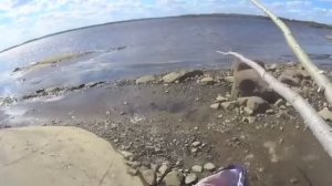 БРЁВНА КРУГОМ И РЫБА!ПОСТАВИЛ ЛОВУШКИ НА МОРЕ.И СРАЗУ ПОВЕЗЛО.ПОЛНЫЕ РЫБЫ.