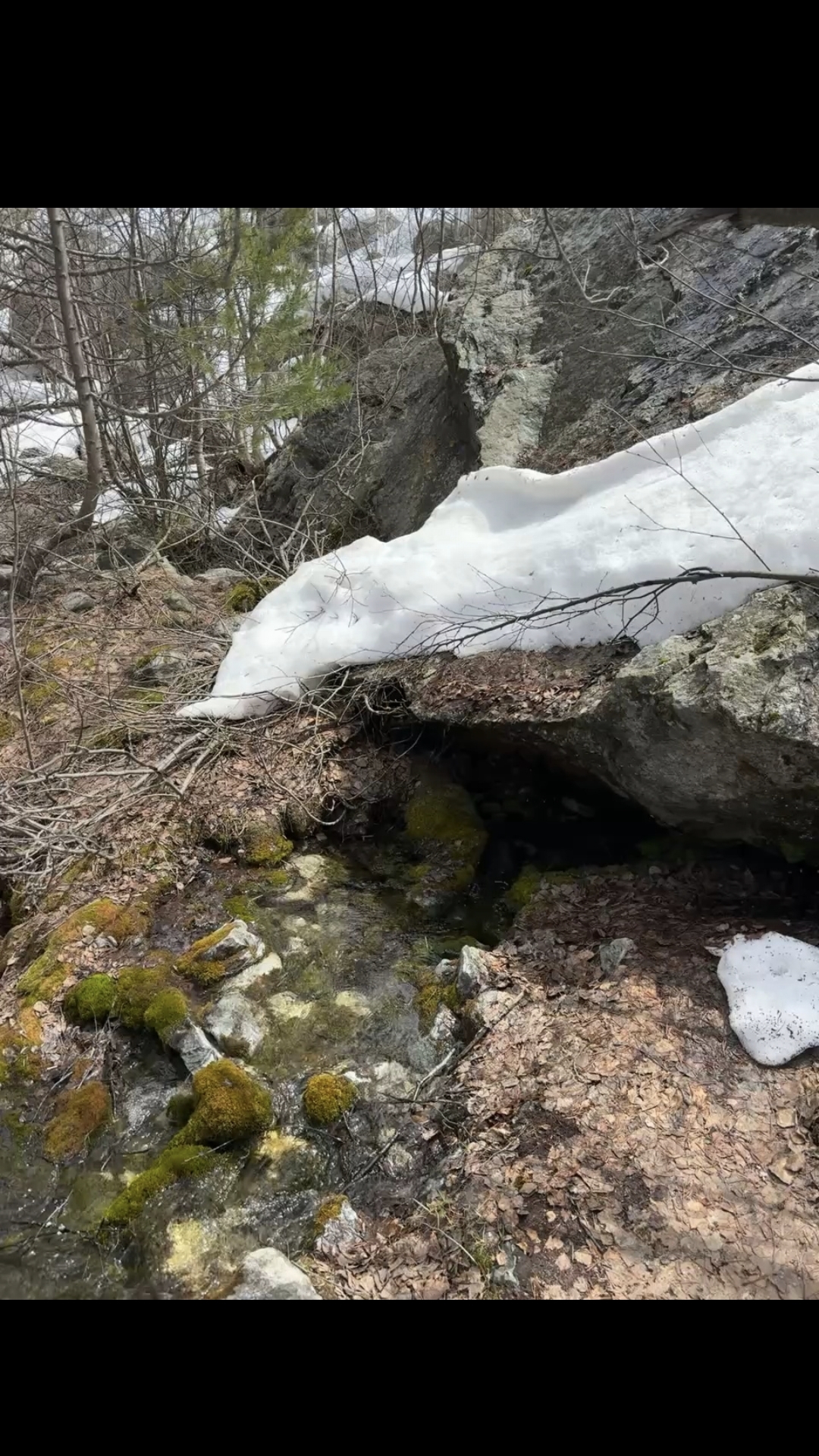 Шёпот горного ручья: мелодия чистой воды🏞Серебряная нить среди скал💧Ручей, бегущий к солнцу🌞
