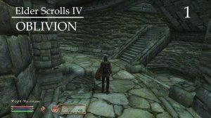 TES IV: OBLIVION (ЛЕСНАЯ ЭЛЬФИЙКА; ПРОХОЖДЕНИЕ) #1 ♦ ЗНАКОМСТВО С ДОЧКОЙ МАМИНОЙ ПОДРУГИ