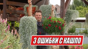 3 ошибки с кашпо — и как их избежать
