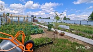 Наши 8,4 сотки 🏡 Ещё гортензия и лилии🫣👍Первый урожай нашей клубники🍓