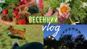 Влог: Простая жизнь домохозяйки| Покупки, быт, отдых🏡