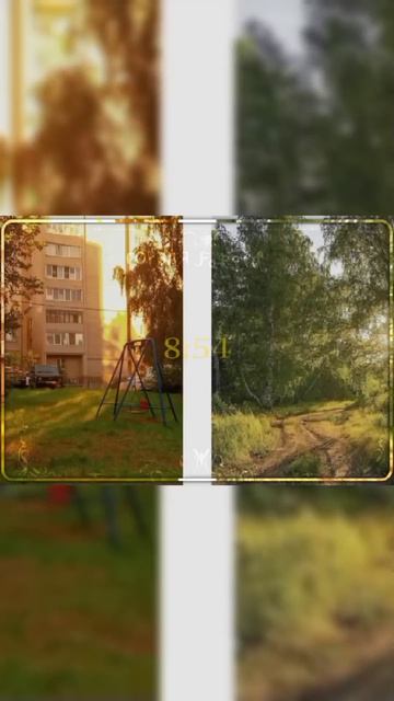 Женя и Алёна ✨ ELEVATE ✨ смотреть онлайн