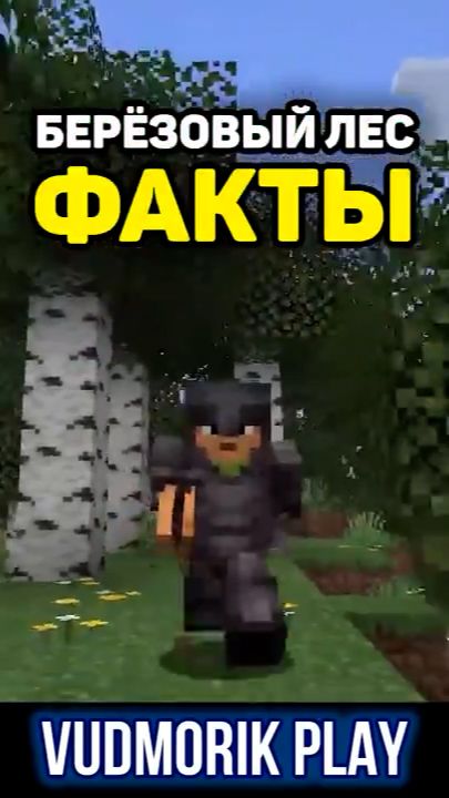 Секреты берёзового леса в Minecraft #5