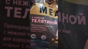 КОШКА ЕВА ПРОХОДИТ ЧЕЛЕНДЖ!