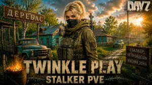 DAYZ PVE | НОВЫЙ STALKER ПРОЕКТ TWINKLE PLAY | ПРОХОДИМ КВЕСТЫ