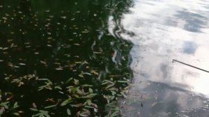 1000005232.mp4