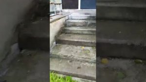 утренний стрим