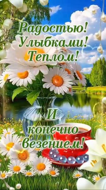 11441.mp4 смотреть онлайн