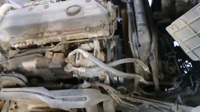 5455.mp4 смотреть онлайн