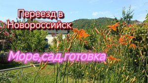 Жизнь в доме в Новороссийске/Цены на рынке/Заготовка трав/Море