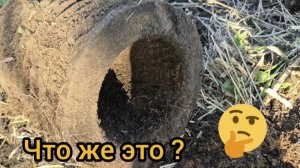 ни разу не находили такое 😱