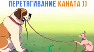 Комиксы. Перетягивание каната ))) | Мемозг 1768