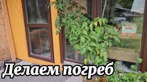 СИТУАЦИЯ ВЫХОДИТ ИЗ-ПОД КОНТРОЛЯ. СКОЛЬКО У НАС ТЕПЕРЬ ПОРОСЯТ И КРОЛИКОВ?