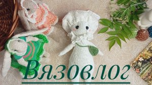 Вязовлог🎀Носки из Регии/мухомор/зайка приоделся