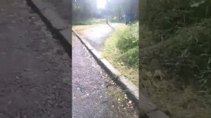 стрим