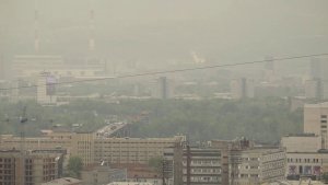 ДЫМОВАЯ ЗАВЕСА НАД ГОРОДАМИ: КАК КРАЙ БОРЕТСЯ С ЛЕСНЫМИ ПОЖАРАМИ