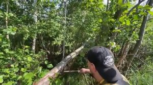 📹 Построили своё место ОТДЫХА посреди поля →

ВАНО ЛЕСНИК! ВИТАЛИЙ ЗЕЛЁНЫЙ! СОЛДАТ!