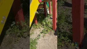 обзор на площадку 2 часть