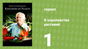 В королевстве растений 1 серия (документальный сериал, 2012)