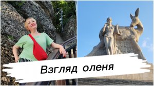 Там, где живёт легенда. Олень повернул голову.
