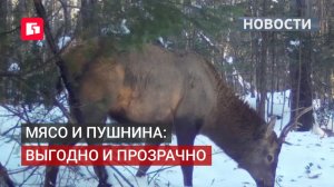 Прозрачность и выгода — приоритеты в охотничьей отрасли. 22/06/2026