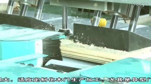 Обрабатывающий центр с ЧПУ для производства сборных филенчатых дверей мод  «Door Master 2500»