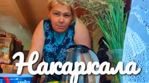 Успеть до ЖАРЫ. Угостили «Жизнь в деревне»