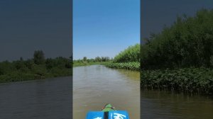 сплав по р.Чебула