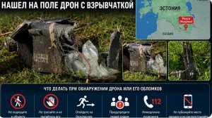 В Эстонии на поле нашли дрон с пятью килограммами взрывчатки.