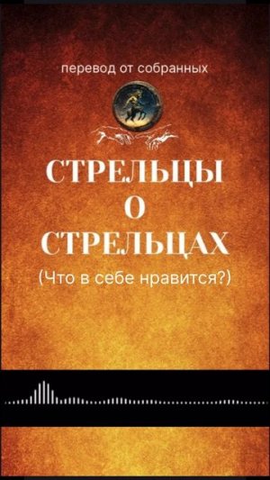 Стрельцы дают подсказки по стрельцам #знакизодиака #стрелец