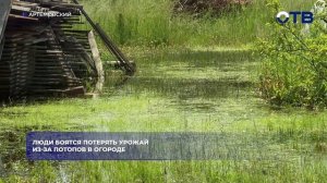 Огороды в Артёмовском ушли под воду: подтоплены больше 10 участков