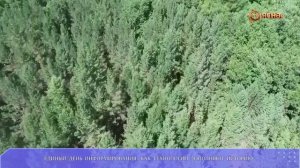ЕДИНЫЙ ДЕНЬ ИНФОРМИРОВАНИЯ: КАК ТЕХНОЛОГИИ ПОМОГАЮТ СОХРАНИТЬ ИСТОРИЧЕСКУЮ ПАМЯТЬ