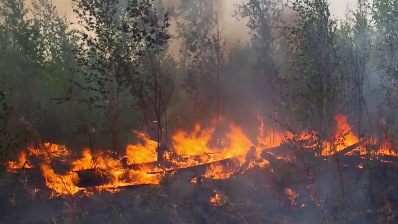 Погода испытывает на прочность российские регионы. смотреть онлайн