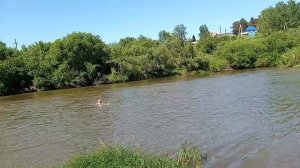 Понесло😆