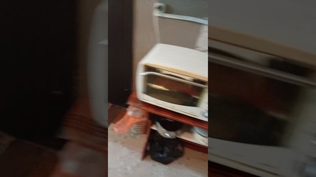 20710.mp4 смотреть онлайн