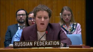 Выступление А.М.Евстигнеевой в СБ ООН по Украине