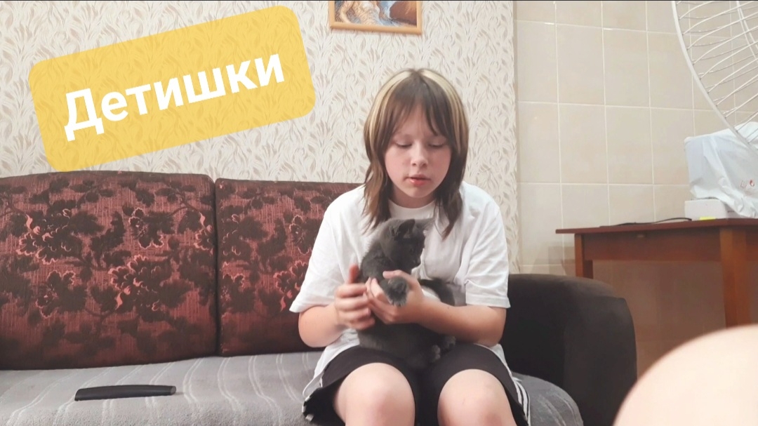 Z.Б.223. Дети, котята, блоки, выходные. Жизнь холостяка в провинции. Не соскучишся! смотреть онлайн